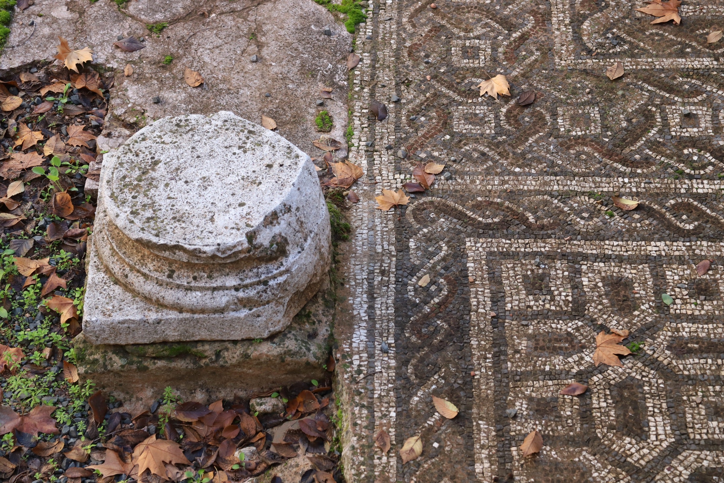 La valiosa villa romana que sale a subasta en Córdoba, en imágenes