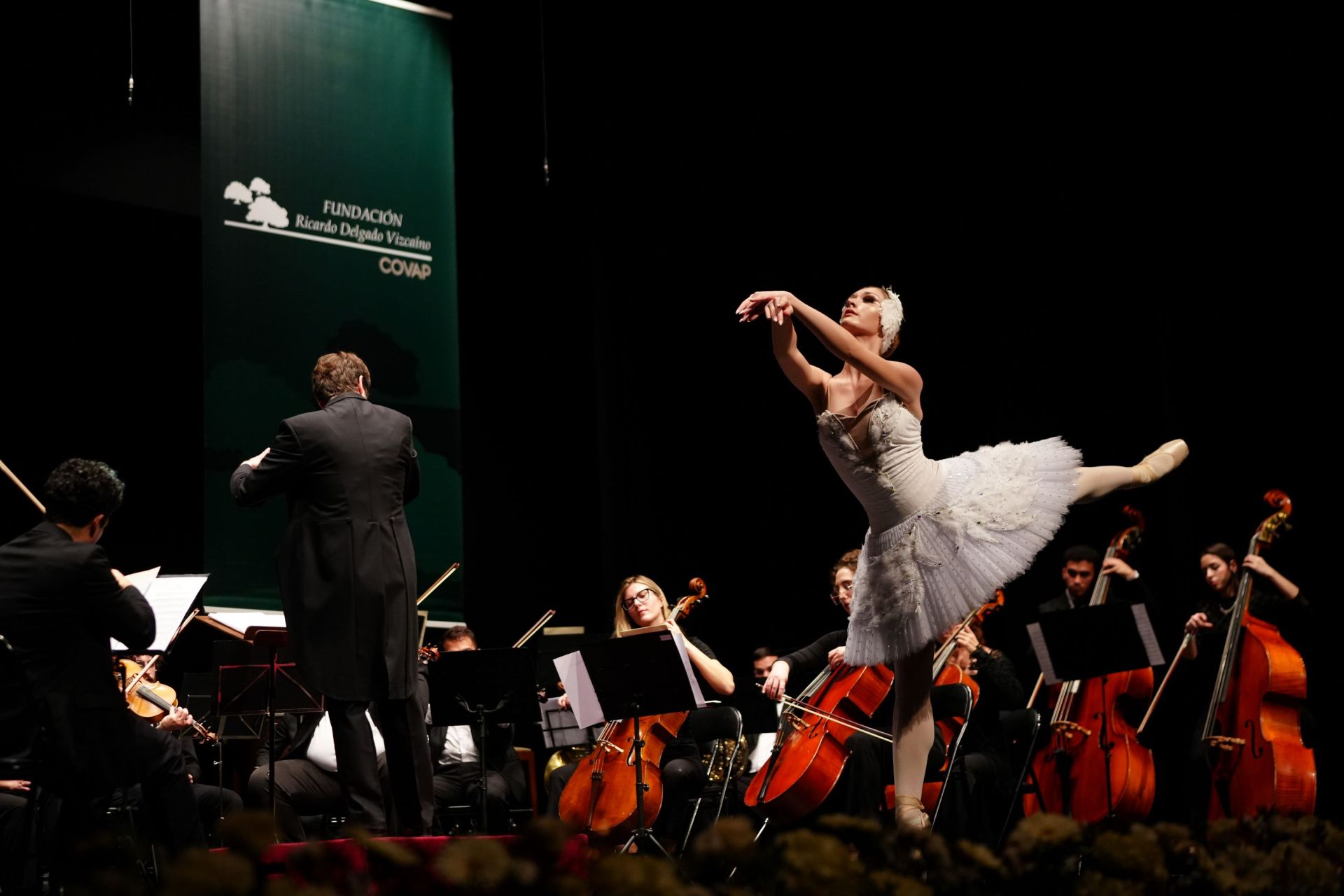 El tradicional &#039;Concierto de Navidad&#039; y entrega de premios de la Fundación Ricardo Delgado Vizcaíno, en imágenes