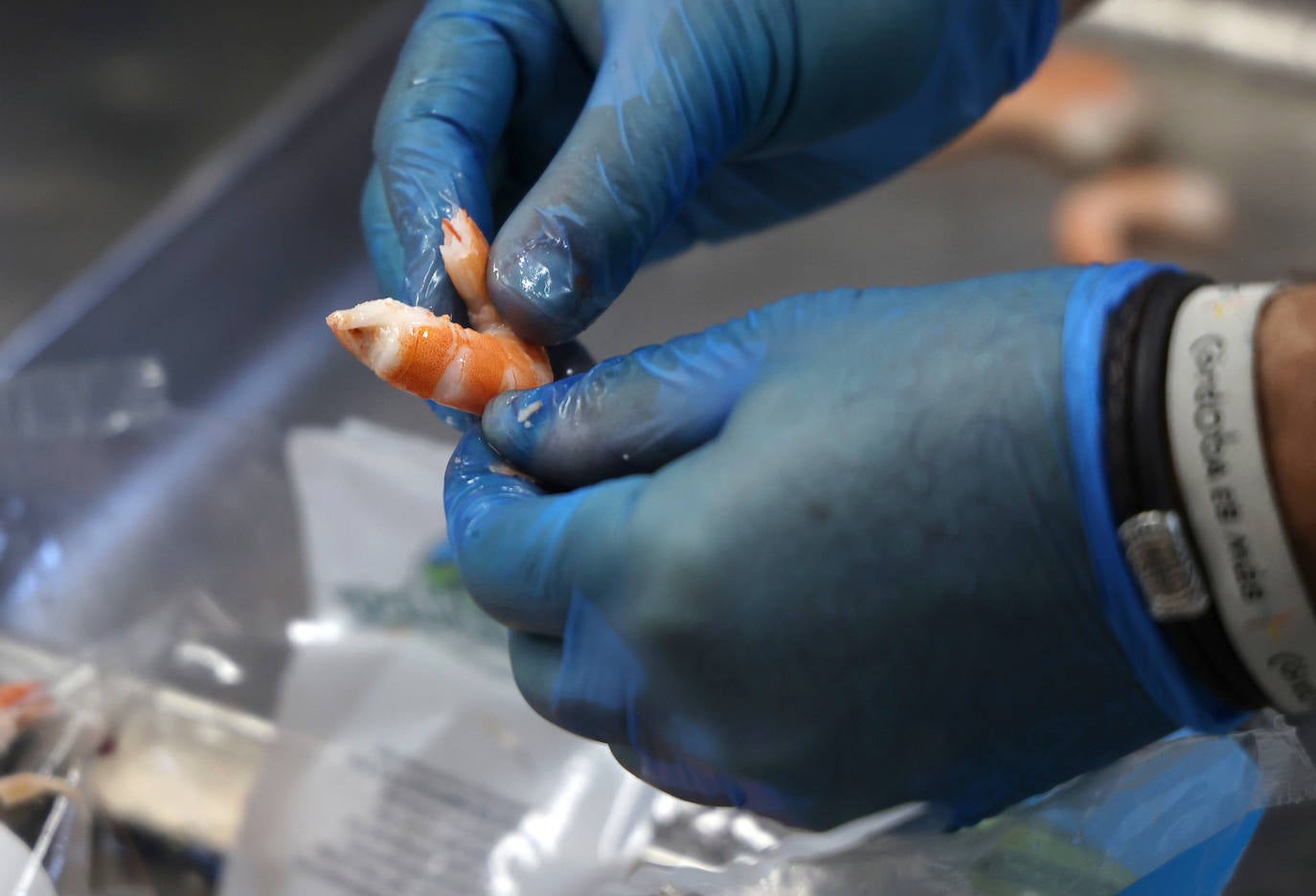 El menú más solidario de Córdoba para esta Nochebuena, en imágenes