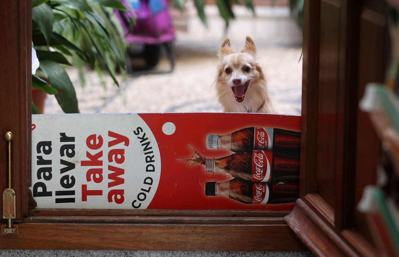 Los barrios de San Basilio y la Catedral, los que más población pierden de Córdoba, en imágenes