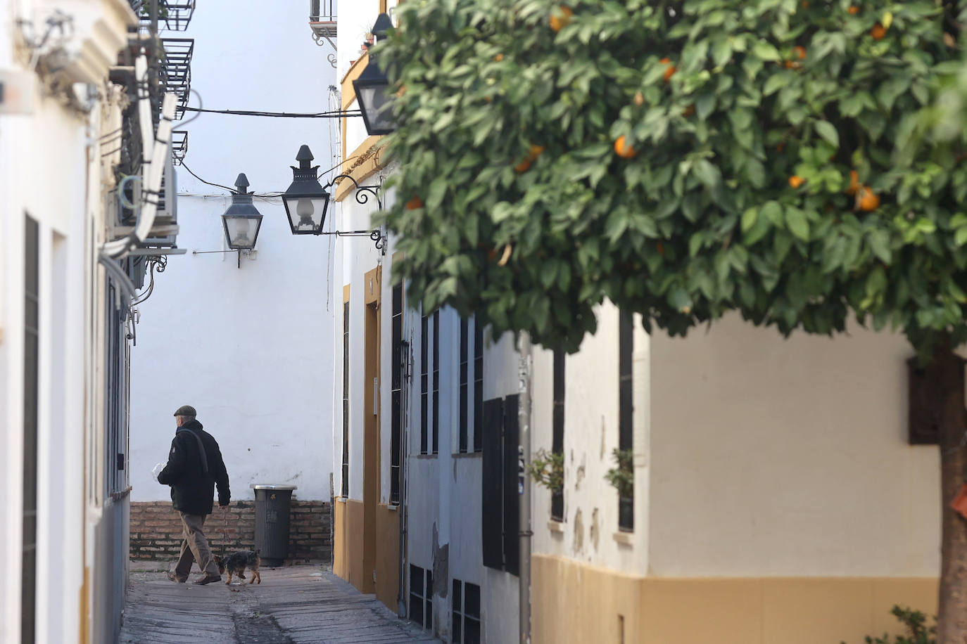 Los barrios de San Basilio y la Catedral, los que más población pierden de Córdoba, en imágenes