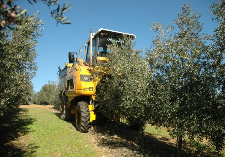 tractor-cordoba-pozoblanco-RO6v9trnSyqLrZ81LcqiYDP-758x531@diario_abc.jpg