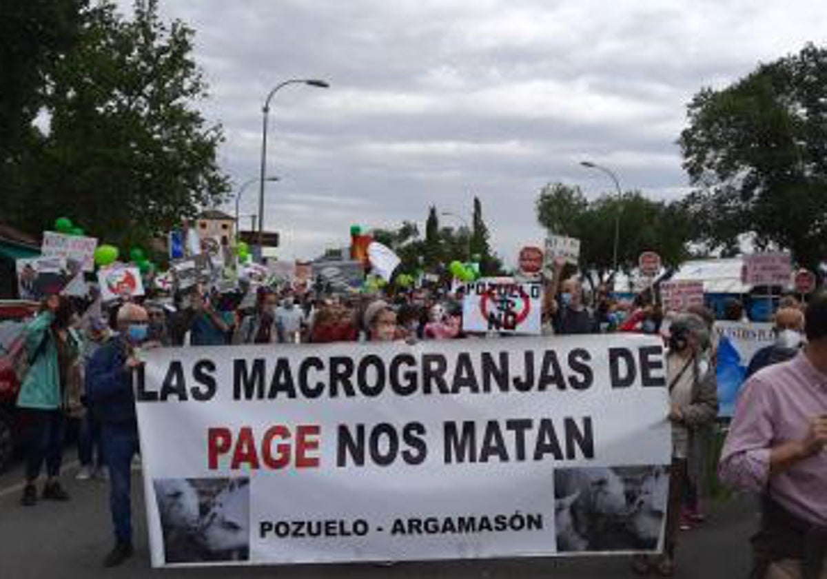 Stop Ganadería Industrial C-LM protestará el 2 de enero en Toledo ante el fin de la moratoria porcina