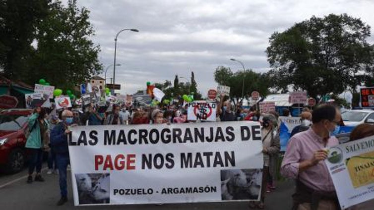 Stop Ganadería Industrial C-LM protestará el 2 de enero en Toledo ante el fin de la moratoria porcina