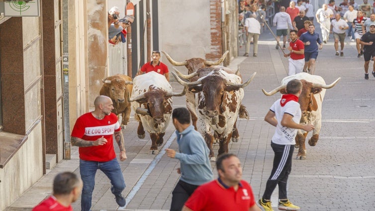 Encierros, vaquillas y capeas mantienen las celebraciones por encima de las 2.000