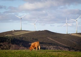 El año de la oposición a proyectos industriales y del parón eólico