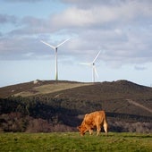 El año de la oposición a proyectos industriales y del parón eólico