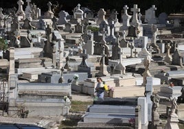 Insólito robo en un cementerio de Avilés: desentierra a su madre fallecida hace días y se la lleva a casa