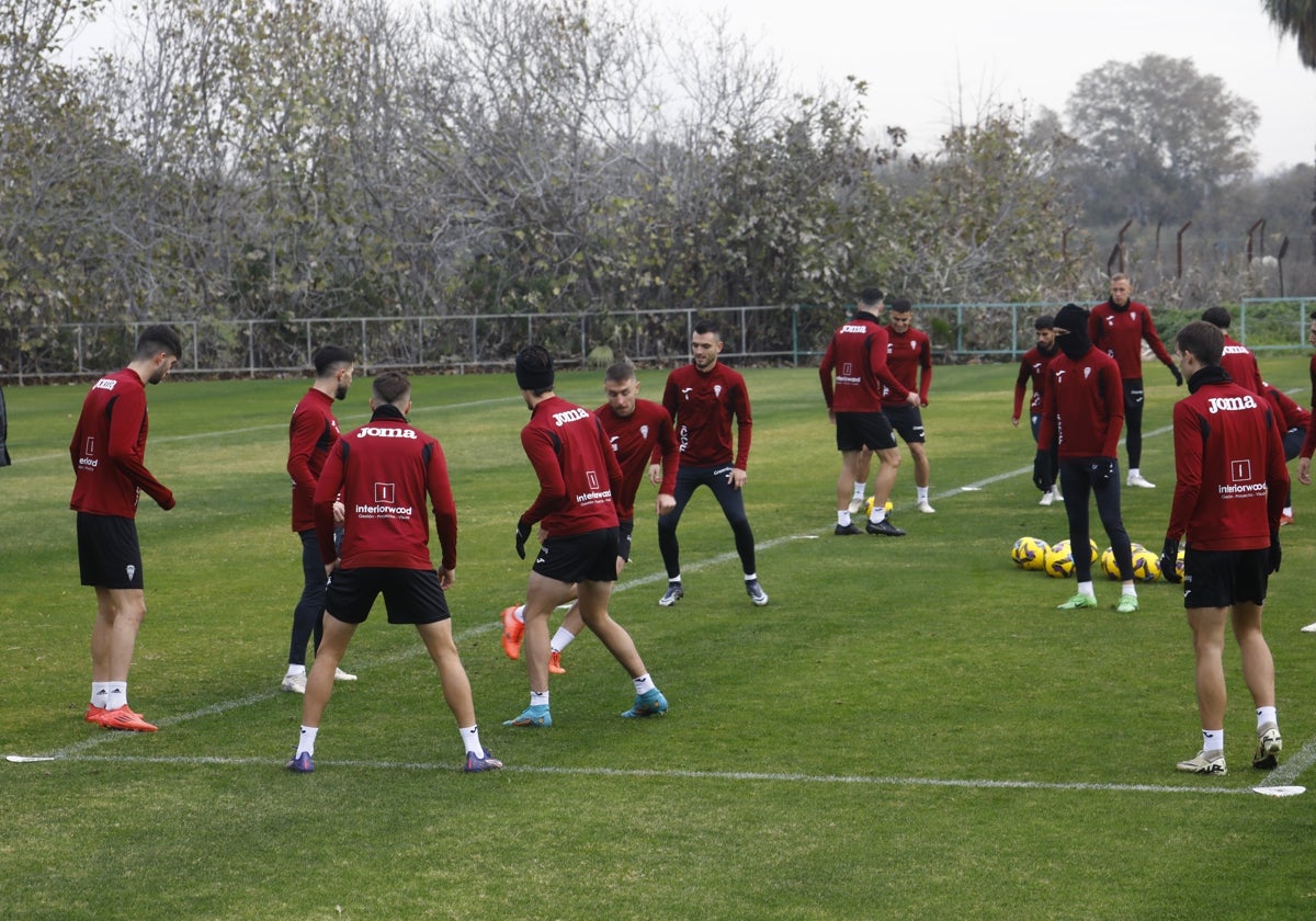 Los jugadores del Córdoba se ejercitan este curso en la Ciudad Deportiva