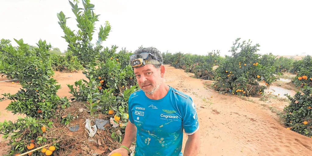 El 80% de los agricultores afectados por la dana no reciben las ayudas