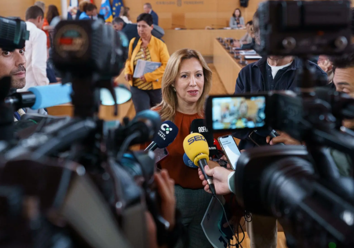 La presidenta del Cabildo de Tenerife, Rosa Dávila, atiende a los medios en una foto de marzo de 2024