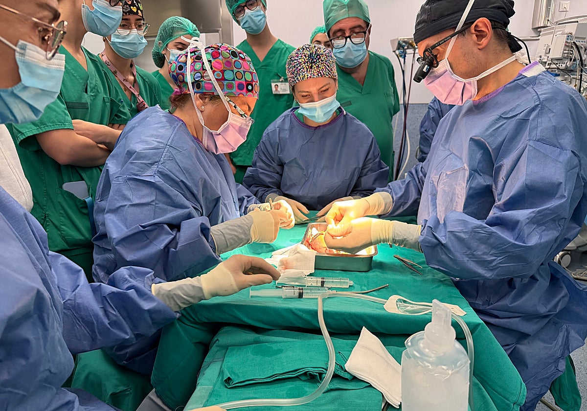 Imagen de la operación quirúrgica llevada a cabo en el Hospital Doctor Peset de Valencia