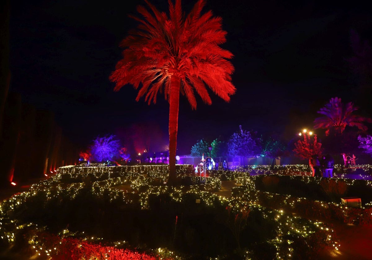 Espectáculo nocturno del Alcázar de los Reyes Cristianos