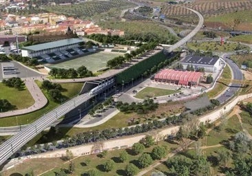 Los usuarios del tren en defensa de Toledo Central y la Línea del Patrimonio de la Humanidad
