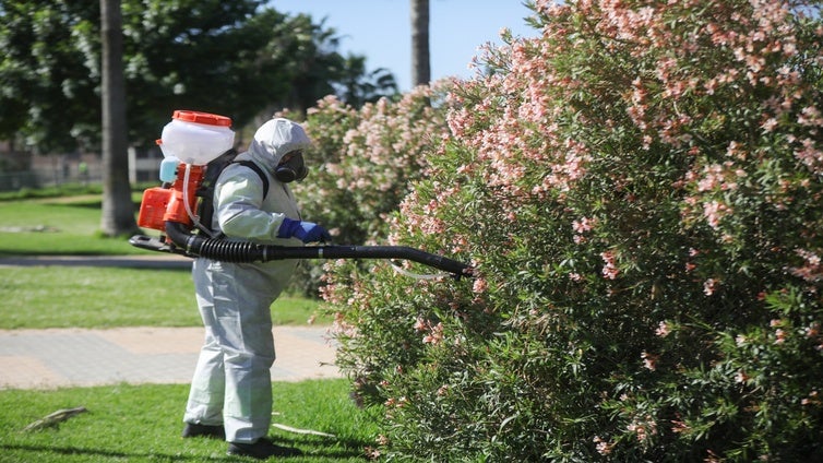 Aumentan un 139% los  mosquitos transmisores del Virus del Nilo capturados en 2024 en Andalucía