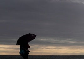 La Sociedad Valenciana de Psicología Clínica pide un enfoque integral contra la depresión y tratamientos de calidad