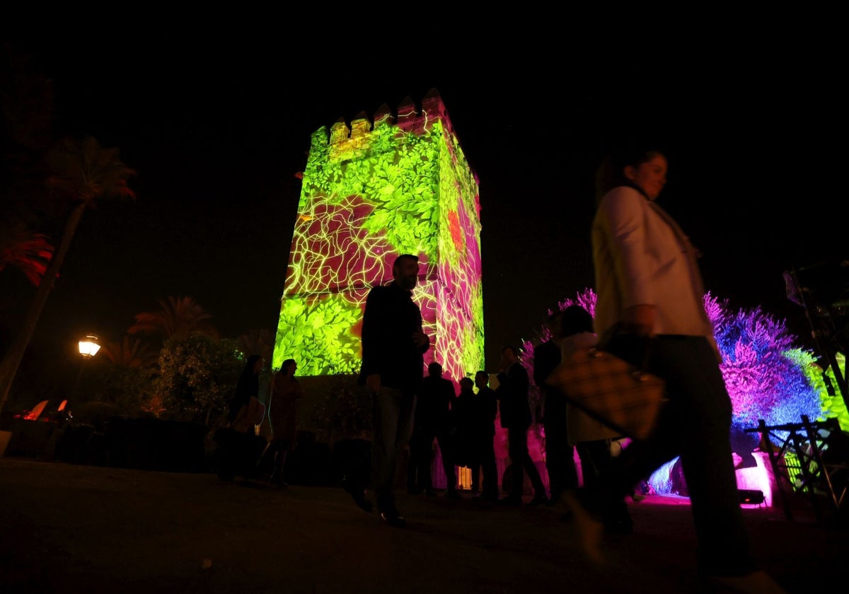 Una de las torres del Alcázar, iluminada en el estreno del espectáculo 'Naturaleza encendida'