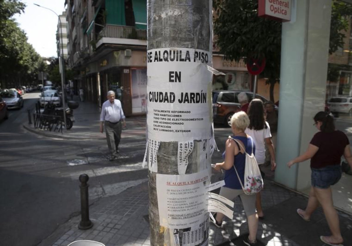 Carteles de alquiler de pisos en Ciudad Jardín en una imagen de archivo