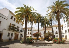 Dos acusados se enfrentan en Córdoba a seis años de cárcel por golpear a un hombre en la cabeza con un palo de tornillos incrustados