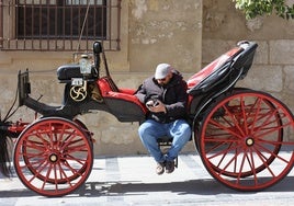 Los coches de caballos dejarán de circular por Málaga este 2025