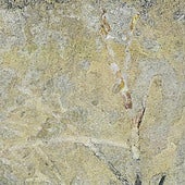 Plantas fósiles de Teruel completan el puzle sobre los ambientes en los que vivían los dinosaurios hace 100 millones de años