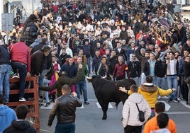 El Toro de San Sebastián sirve de aperitivo del Carnaval en Ciudad Rodrigo