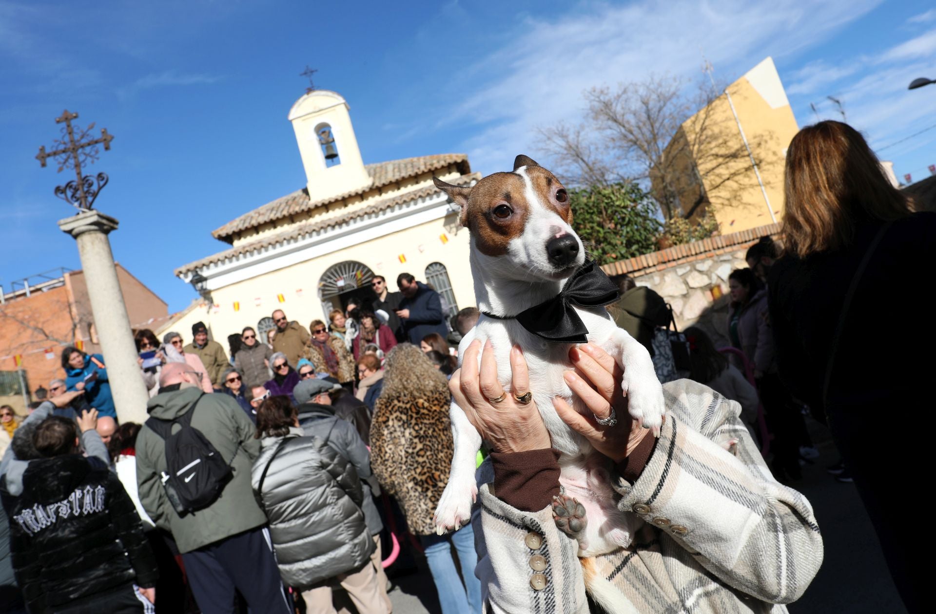 Toledo bendice a sus animales