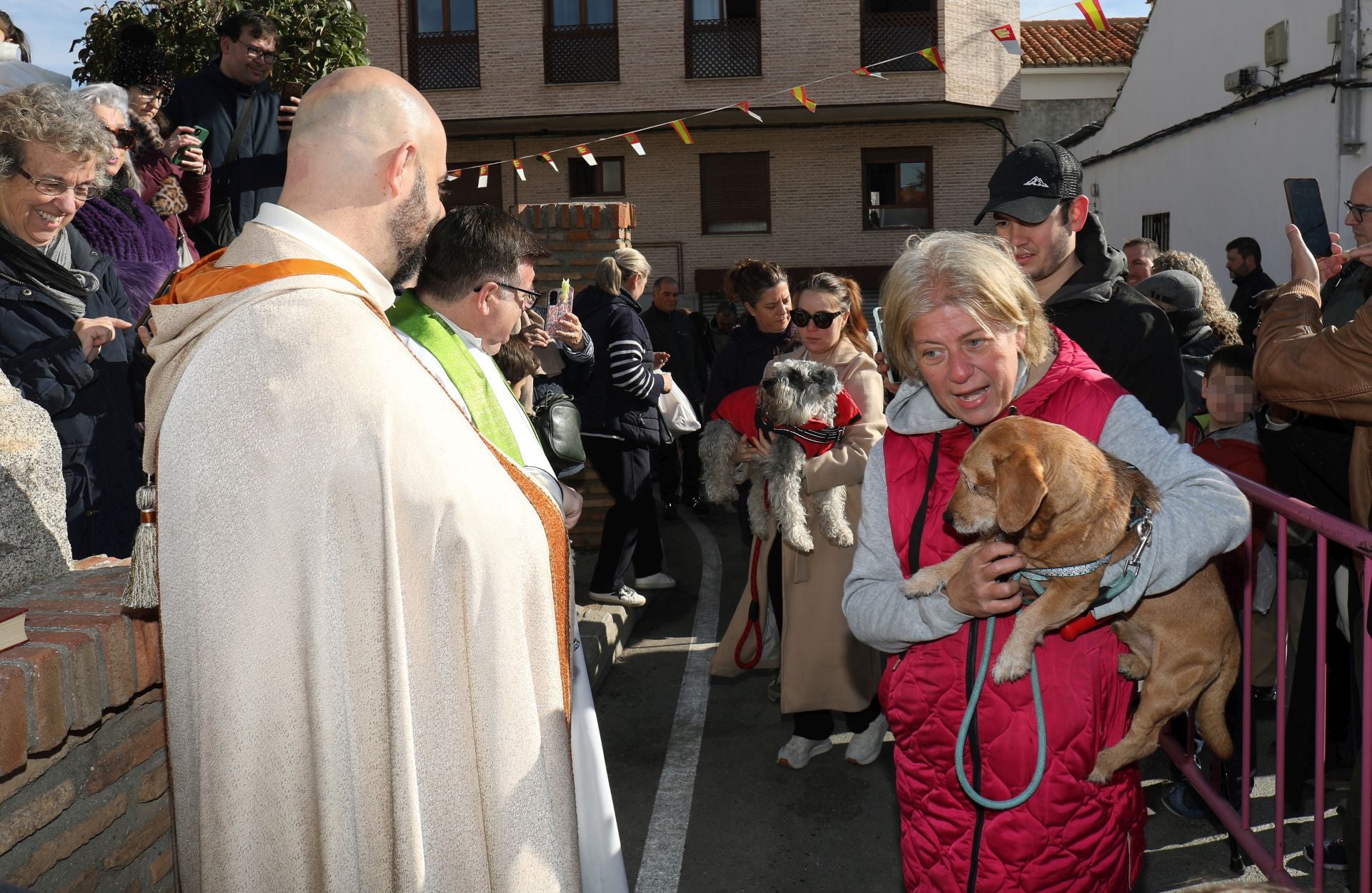 Toledo bendice a sus animales