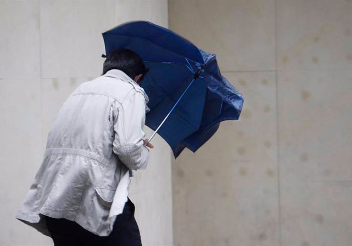 Una persona camina bajo la lluvia pertrechada con un paraguas