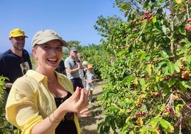 La audacia tiene recompensa: el primer cafetal de Europa está en Granada