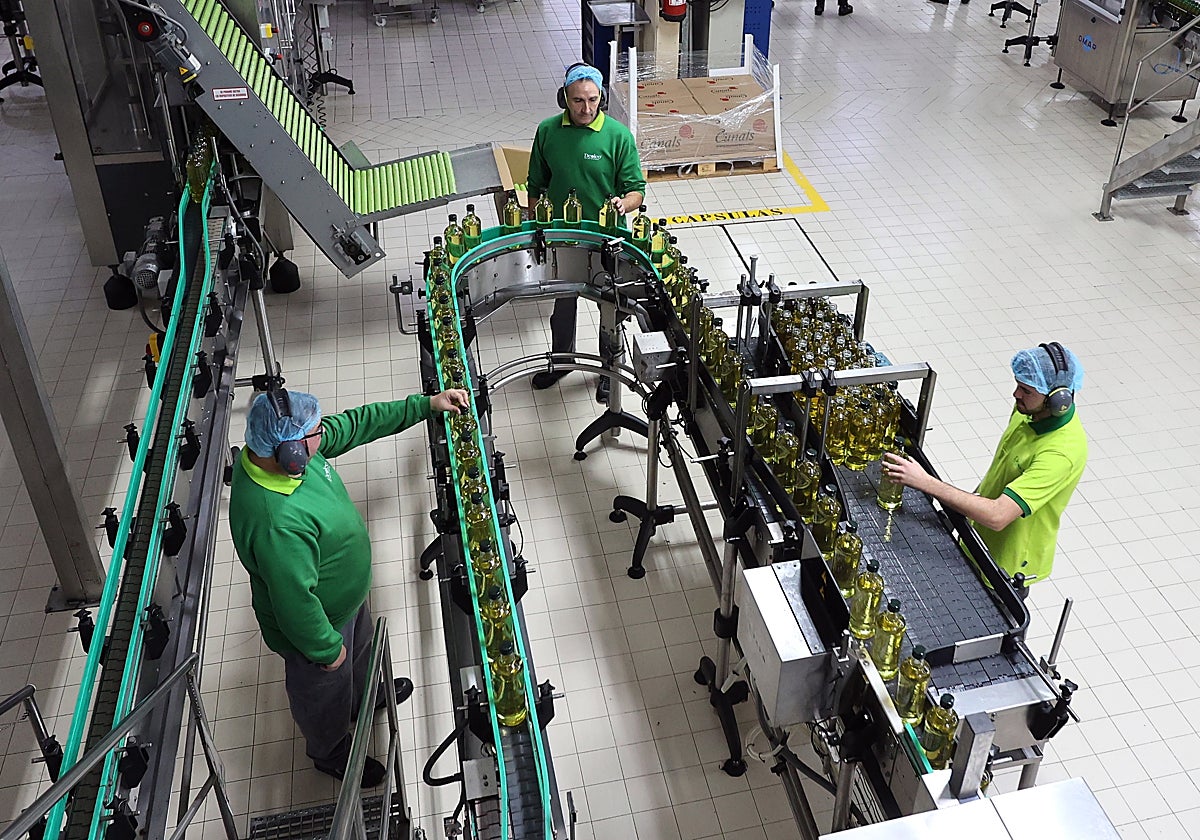 Planta envasodra de aceite de oliva virgen extra en Córdoba
