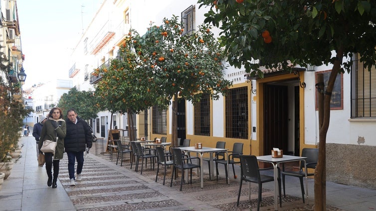 Salud detecta altos niveles de una bacteria en los montaditos de pringá como origen de la intoxicación alimentaria de Córdoba