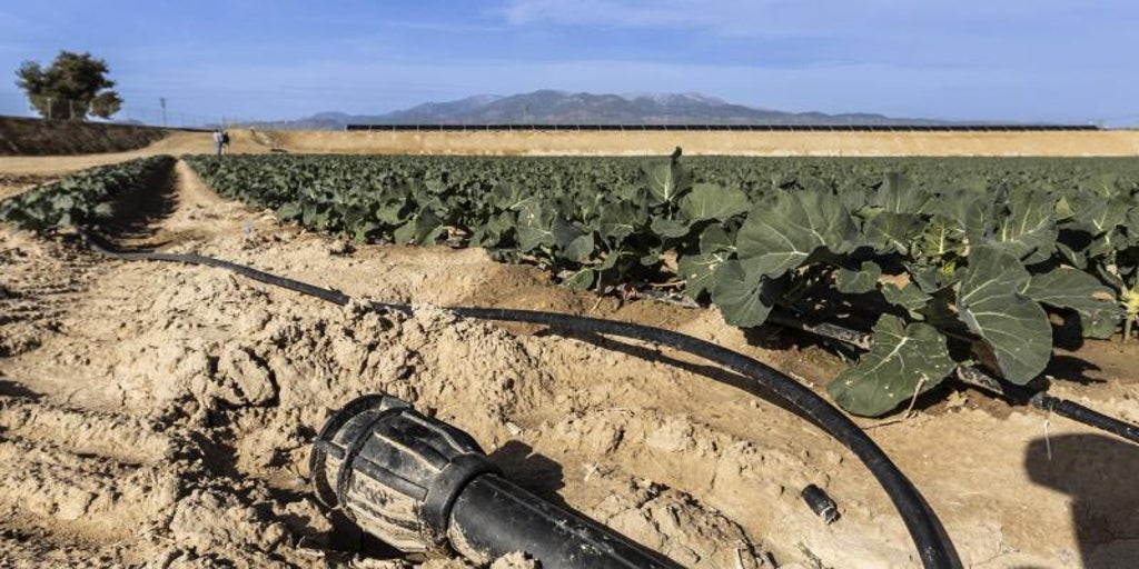 La Diputación de Alicante moviliza doce millones para infraestructuras hidráulicas y la digitalización del ciclo integral del agua