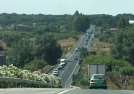 Más de una veintena de empresas pujan por hacer el tercer carril entre Almonte y El Rocío para reducir los atascos