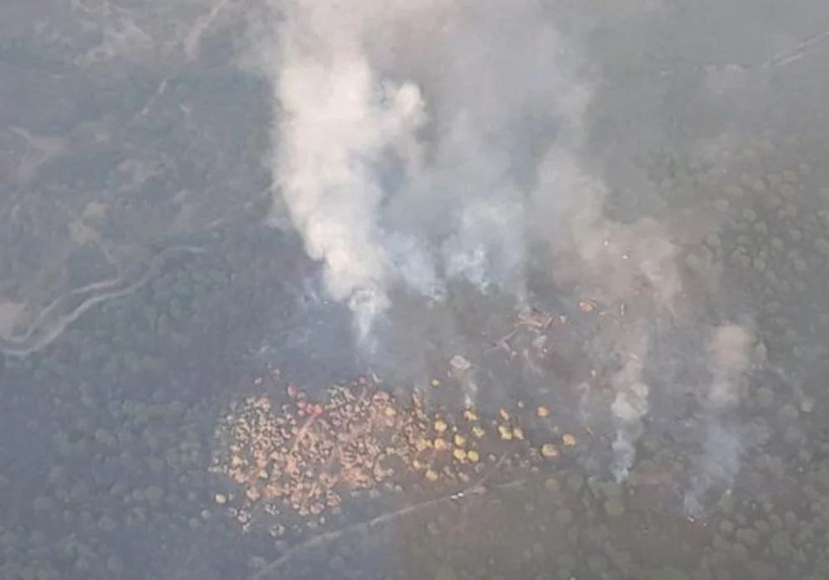 Imagen de la zona afectada en el paraje conocido como Riscos de la Vera en la Sierra