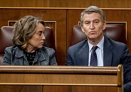 «Chantajes ni uno»: el PP explica por qué votó en contra del decreto ómnibus