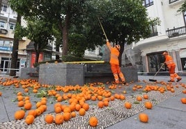 El Ayuntamiento de Córdoba avisa: estas son las calles que tendrán recogida de naranjas esta semana