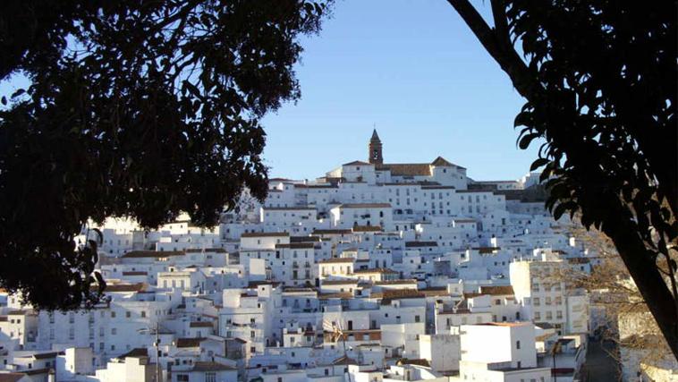 Vistas de Alaclá de los Gazules