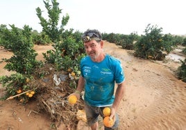 Los agricultores claman contra la «irresponsabilidad política» tras quedarse sin ayudas por la dana: «Es inadmisible»