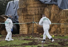 Criminalística investiga «la muerte con indicios de violencia» del joven aparecido en una finca de Ciudad Rodrigo