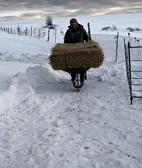 Imagen secundaria 2 - Sobre estas líneas, iglesia de Rábano de Aliste y Matsejún, en las Tierras Altas de Soria