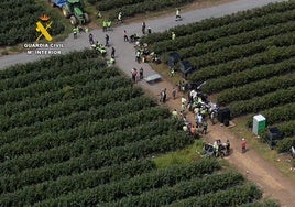 Investigadas tres personas por la contratación de 82 inmigrantes irregulares en una explotación agrícola en Lugo