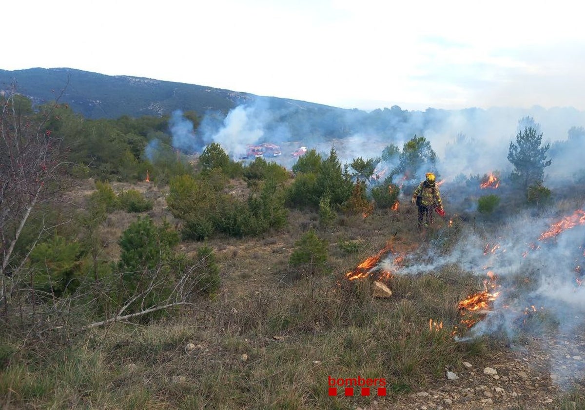 Efectivos de Bomberos, tratando de sofocar un fuego en masa forestal