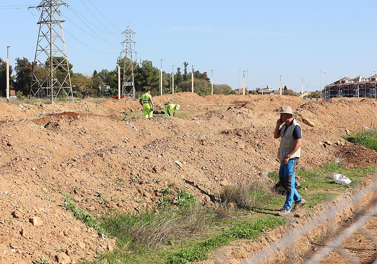 Catas en noviembre en el trazado de la Ronda Norte