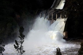 El espectacular desembalse del pantano del Guadalmellato, en imágenes