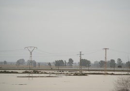 Villarrasa concentra el máximo de lluvias de Andalucía en una sola jornada: 133,8 litros por metro cuadrado