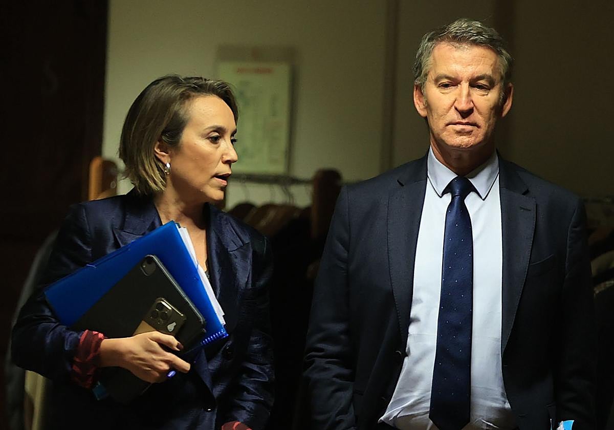 Cuca Gamarra y Alberto Núñez Feijóo, en el Congreso