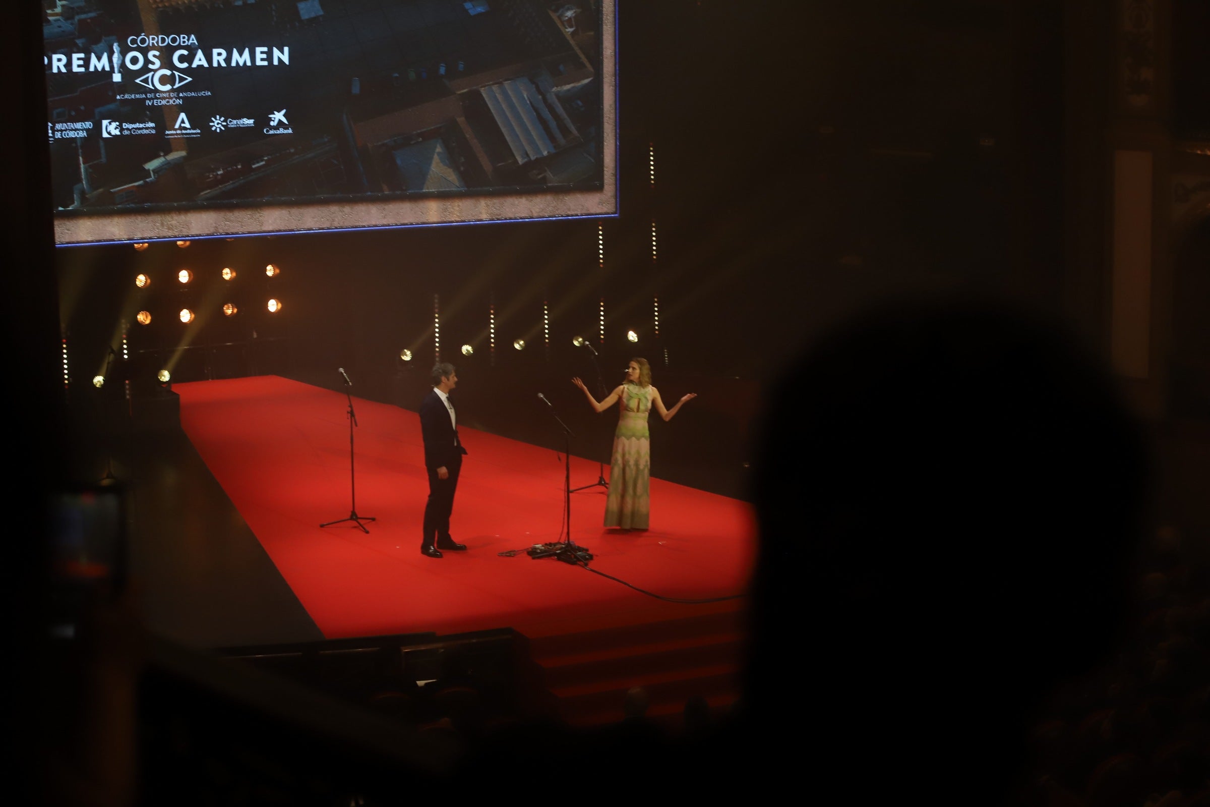 La gala de los IV Premios Carmen del Cine Andaluz, en imágenes