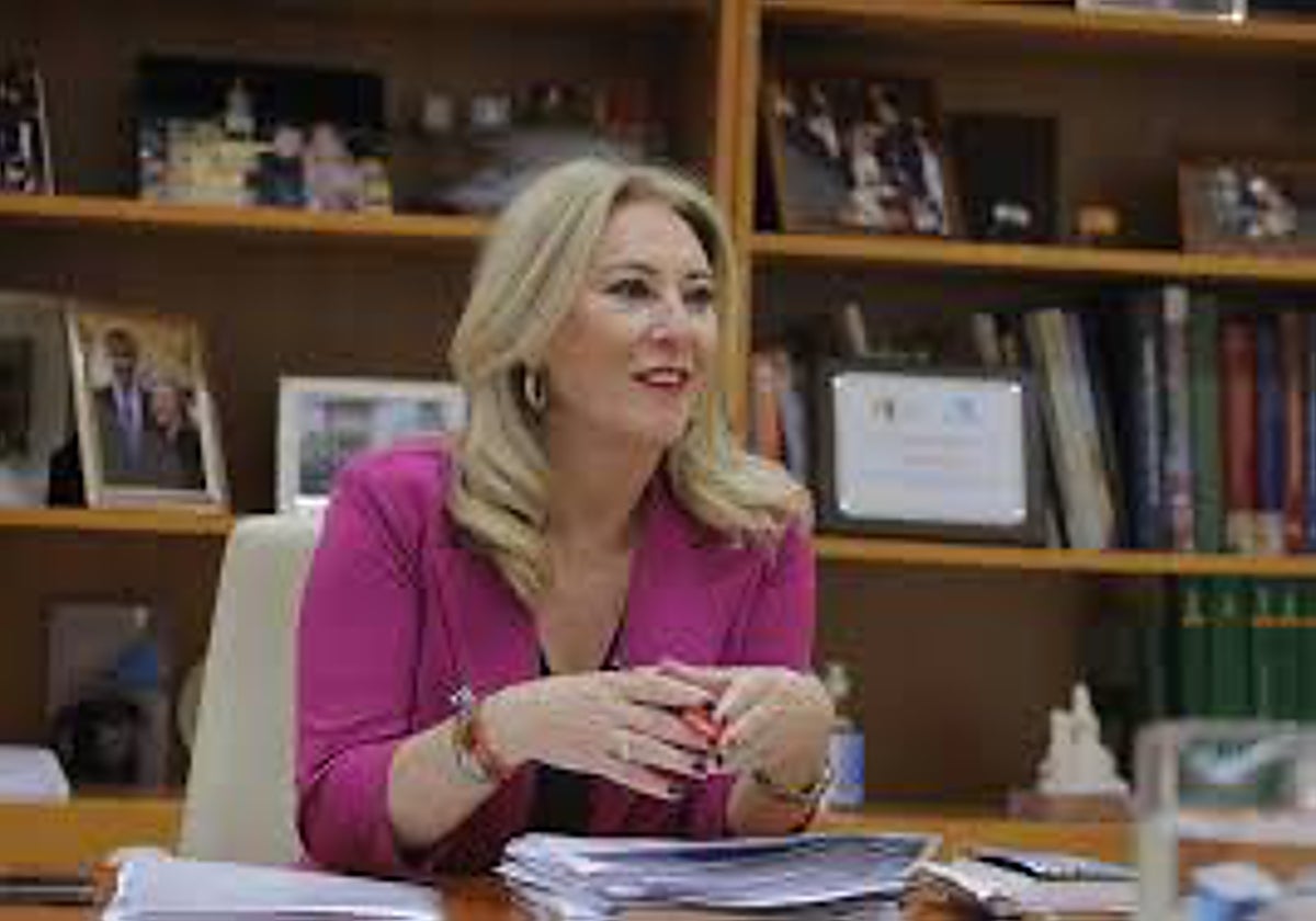 La consejera Carolina España