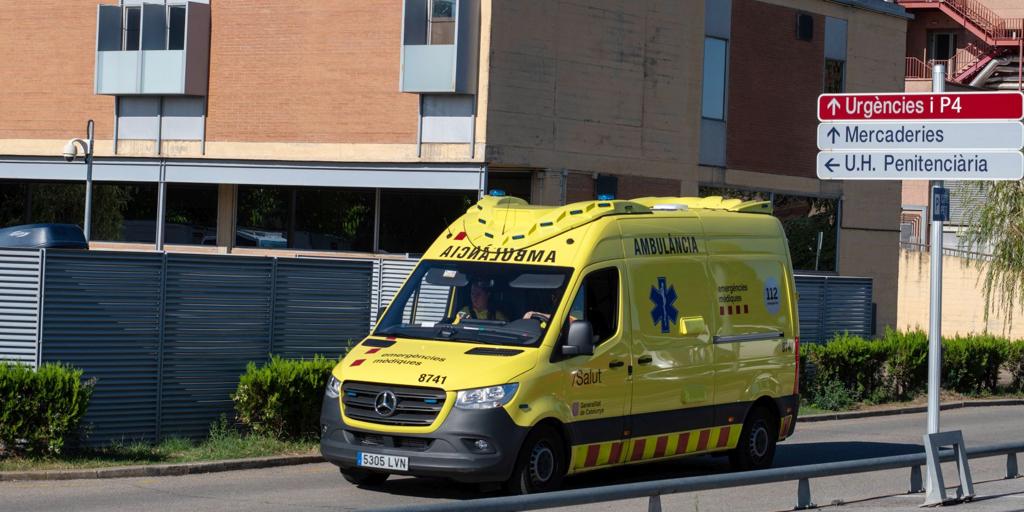 Muere un trabajador al caerle encima un árbol que estaba cortando Barcelona